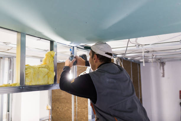 Best Local Insulation Services  in Brookville, NY