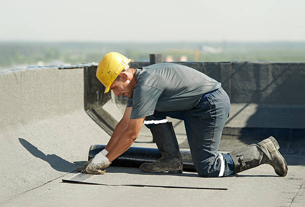 Best Cellulose Insulation  in Brookville, NY