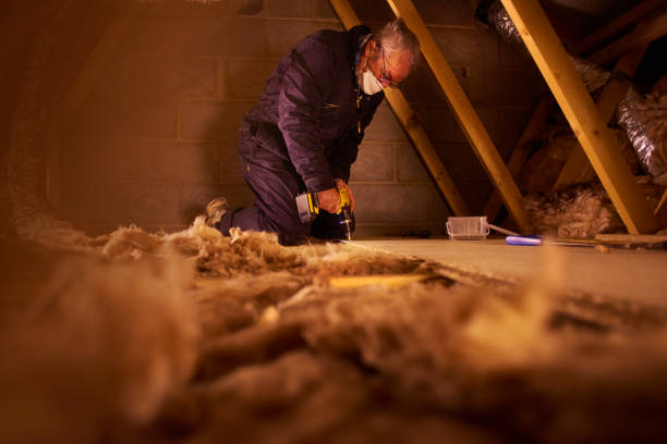 Best Attic Insulation Installation  in Brookville, NY